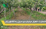خسارت 10هزار میلیاردی سیل به کشاورزان