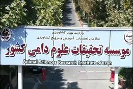 وقتی کندوها در اروپا هوشمند می‌شوند و ما همچنان در خوابیم!