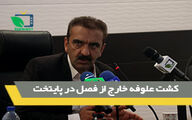 کشت علوفه خارج از فصل درپایتخت 