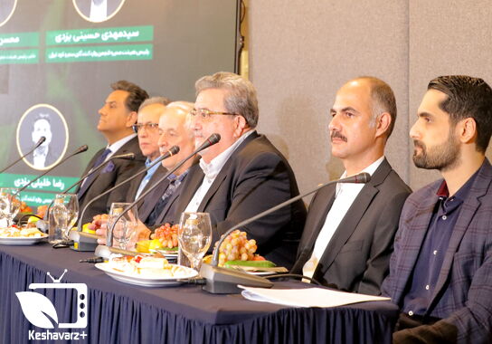 گالری