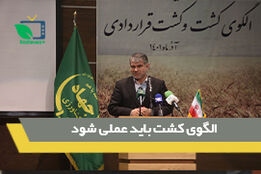 الگوی کشت باید عملی شود