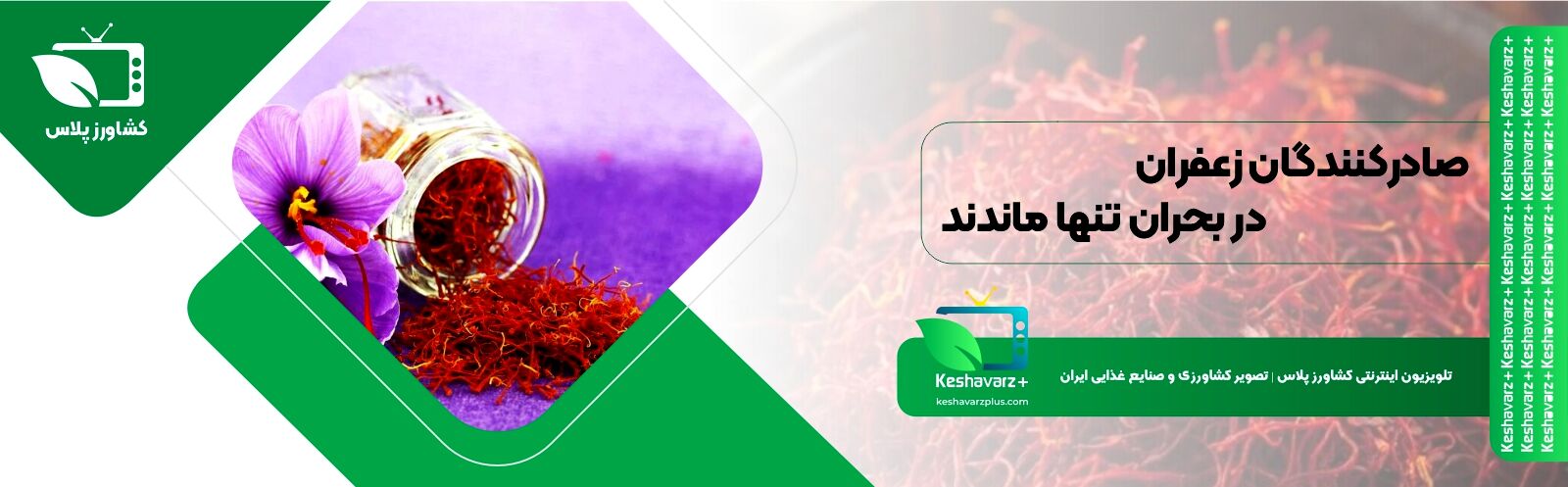  صادرکنندگان زعفران در بحران تنها ماندند