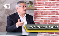 بررسی آخرین وضعیت تولید و صادرات خرما
