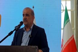قیمت خرید تضمینی گندم نباید کمتر از ۳۰ هزار تومان باشد