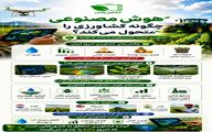  هوش مصنوعی و آینده کشاورزی ایران؛ از مزرعه سنتی تا حکمرانی داده‌محور امنیت غذایی
