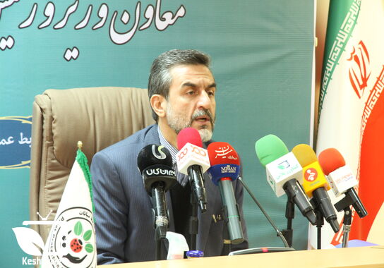گالری