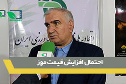 قیمت موز در آستانه جهش