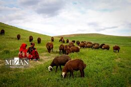 قاب‌هایی زیبا از زندگی عشایر همدان