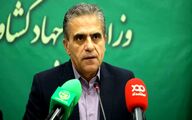 صادرات 1460 تن روغن زیتون ایران/ برندسازی و توسعه فرآوری مهمترین راهبرد برای جلوگیری از خام فروشی است