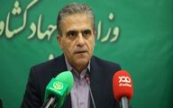 صادرات 1460 تن روغن زیتون ایران/ برندسازی و توسعه فرآوری مهمترین راهبرد برای جلوگیری از خام فروشی است