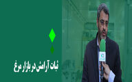 ثبات آرامش در بازار مرغ