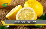 حمایت از باغداران لیموترش 