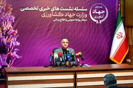 انتقاد صریح معاون زراعت از ارز ۲۸۵۰۰؛ کشاورزان سهمی نبردند