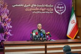انتقاد صریح معاون زراعت از ارز ۲۸۵۰۰؛ کشاورزان سهمی نبردند