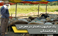 یک میلیون دامدار در معرض ورشکستگی