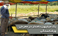 یک میلیون دامدار در معرض ورشکستگی