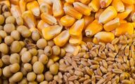 مصوبه استمهال چک مرغداران بابت نهاده های دامی ابلاغ شد