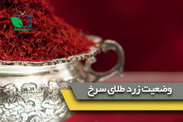 وضعیت زرد طلای سرخ