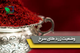 وضعیت زرد طلای سرخ