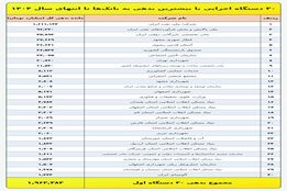 شرکت خدمات حمایتی در لیست 10 ابر بدهکار بانکی 