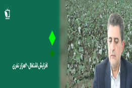 افزایش اشتغال 20 هزار نفری در کشاورزی استان اردبیل 