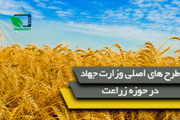 کشاورزی قراردادی" و "جهش تولید در دیمزارها"