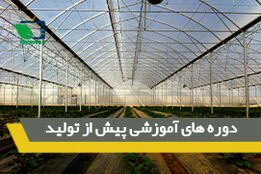 دوره های آموزشی پیش از تولید