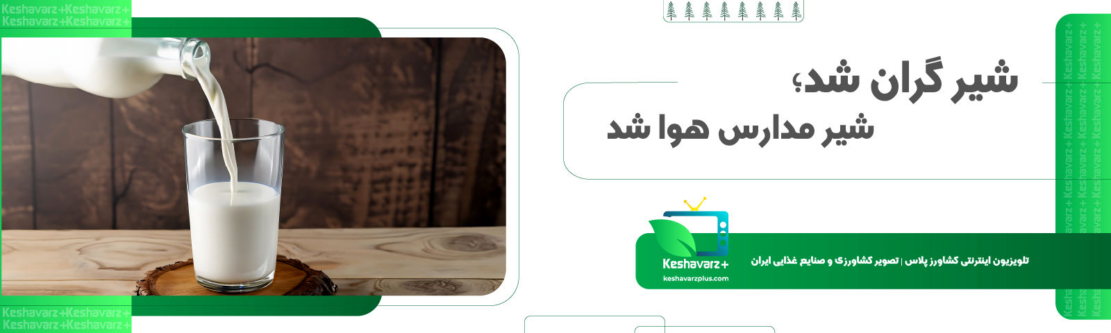 چرا شیر رایگان مدارس زمین ماند!؟