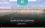 توسعه کشاورزی با ایجاد شهرک گلخانه ای در استان قزوین