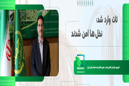 نوید مهار آفت سرخرطومی حنایی خرما در نخیلات کشور