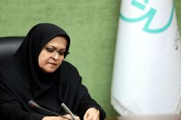 چراغ سبز استاندارد به بازار