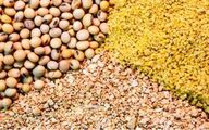تداوم واردات نهاده های دامی از بنادر شمال و جنوب کشور با وجود جنگ