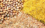 تداوم واردات نهاده های دامی از بنادر شمال و جنوب کشور با وجود جنگ