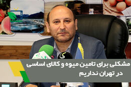 مشکلی برای تامین میوه و کالای اساسی در تهران نداریم